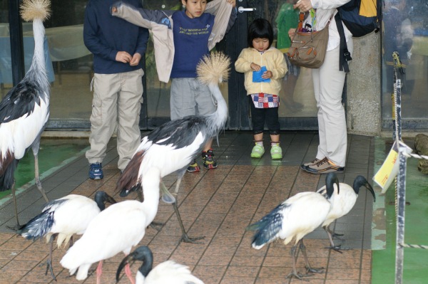 Neopark Okinawa, Nago Natural Zoological and Botanical Park